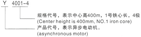 西安泰富西玛Y系列(H355-1000)高压永安坝街道三相异步电机型号说明